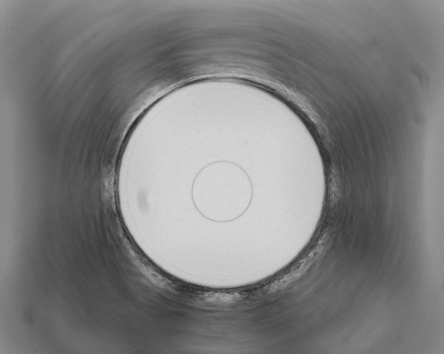 X0000111921513200909071206