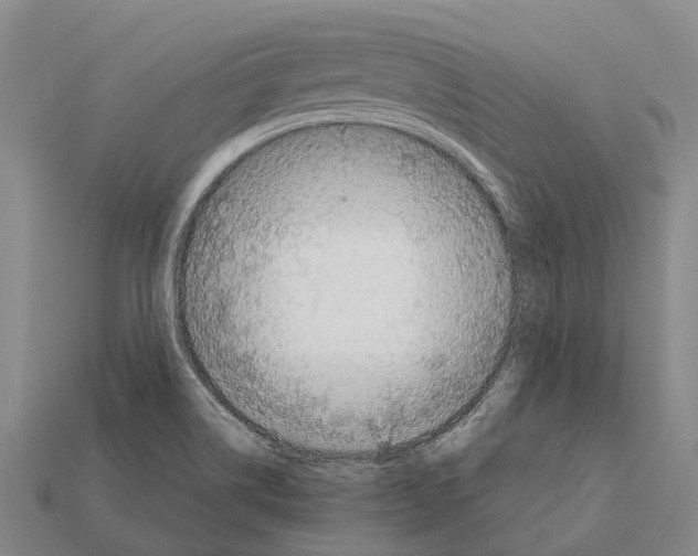 X0000111921514200909071206