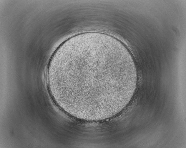 X0000111921515200909071206