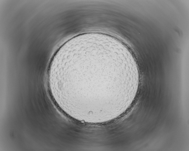 X0000111921517200909071207