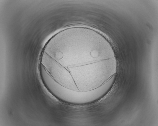 X0000111921518200909071207