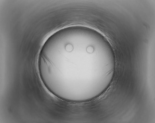 X0000111921519200909071207