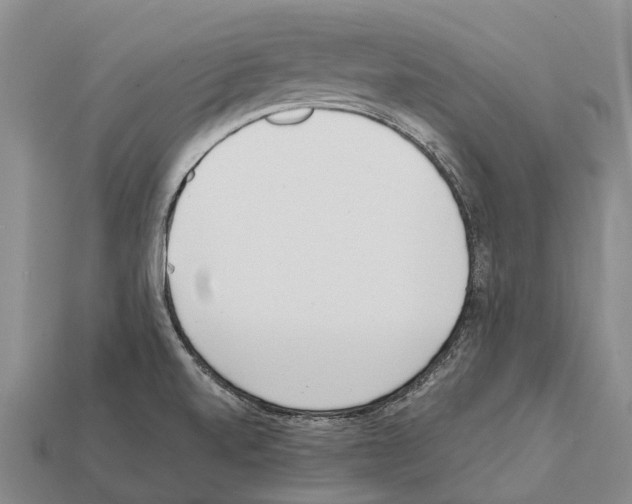 X0000111921520200909071207