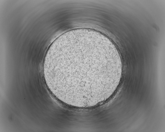 X0000111921521200909071207