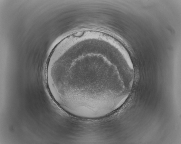 X0000111921522200909071207