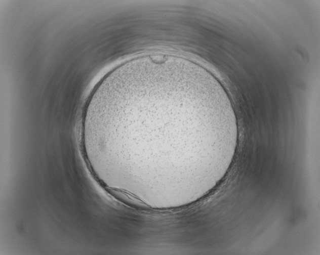 X0000111921523200909071207