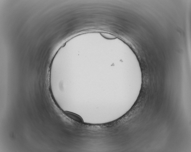 X0000111921524200909071207