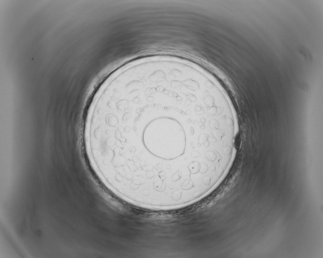 X0000111921525200909071207