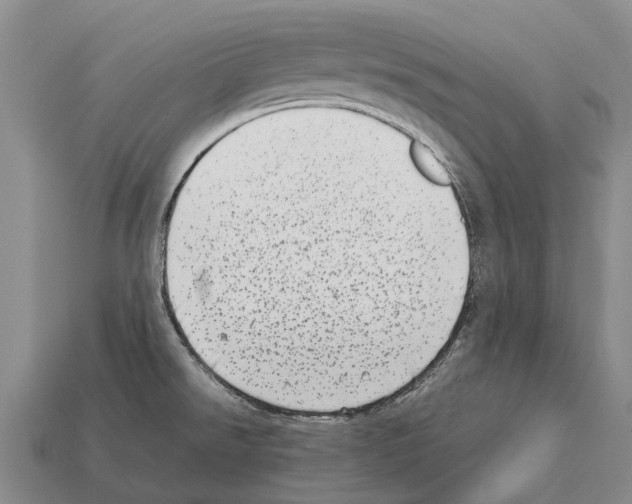 X0000111921526200909071207