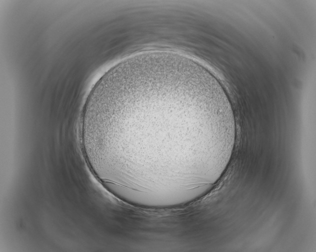 X0000111921527200909071207