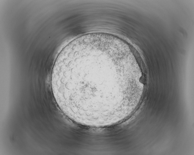 X0000111921529200909071207