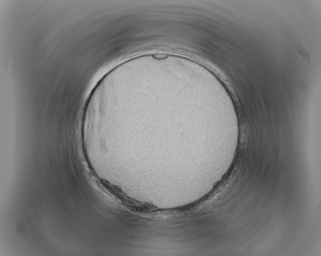 X0000111921530200909071207