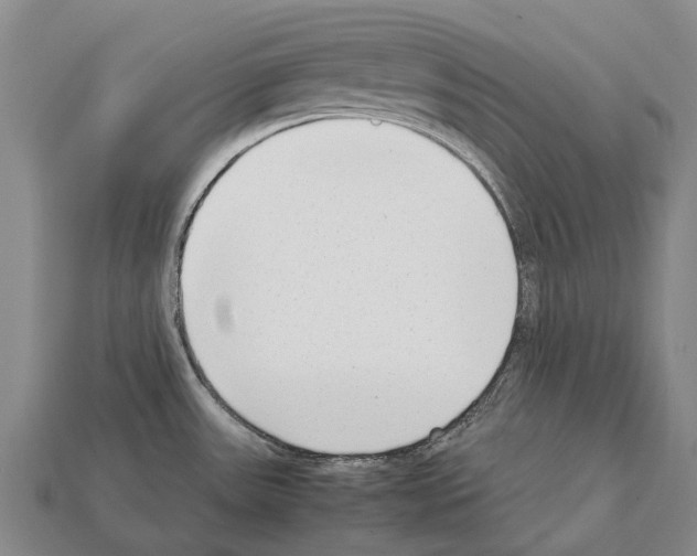 X0000111921531200909071207