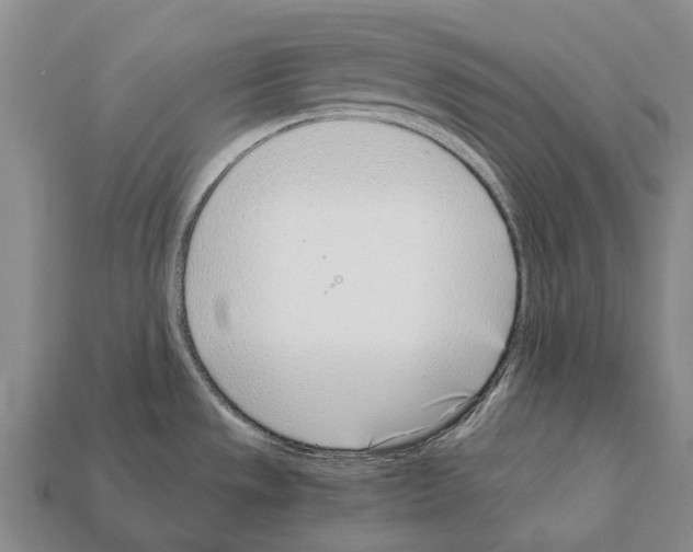 X0000111921533200909071207