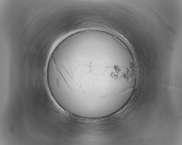 X0000111921536200909071207