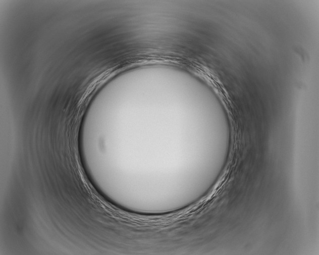 X0000111930001200907271040