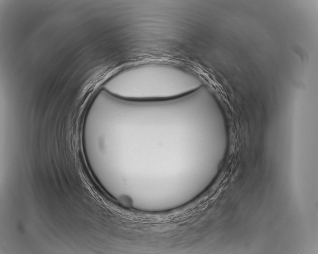 X0000111930002200907271040