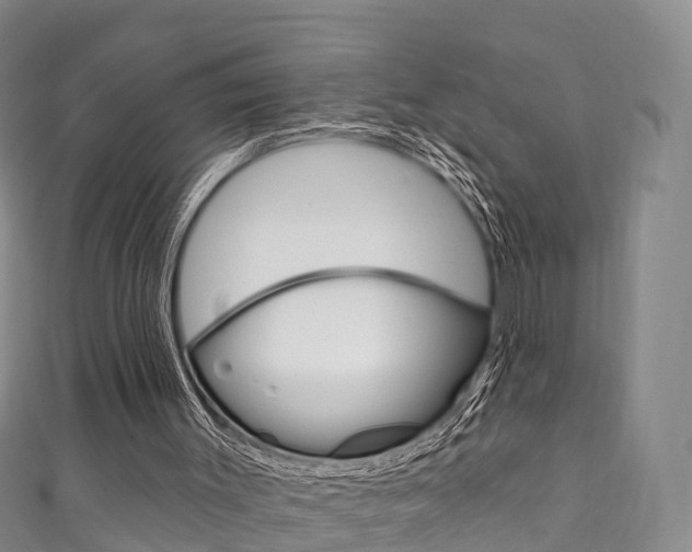 X0000111930003200907271040