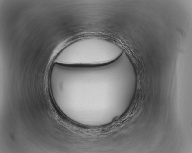 X0000111930004200907271040