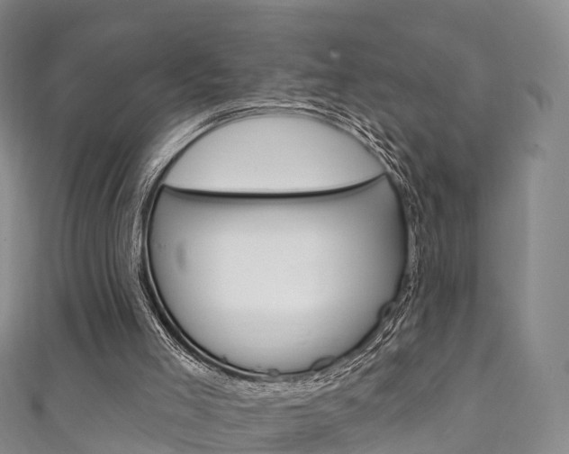 X0000111930005200907271040