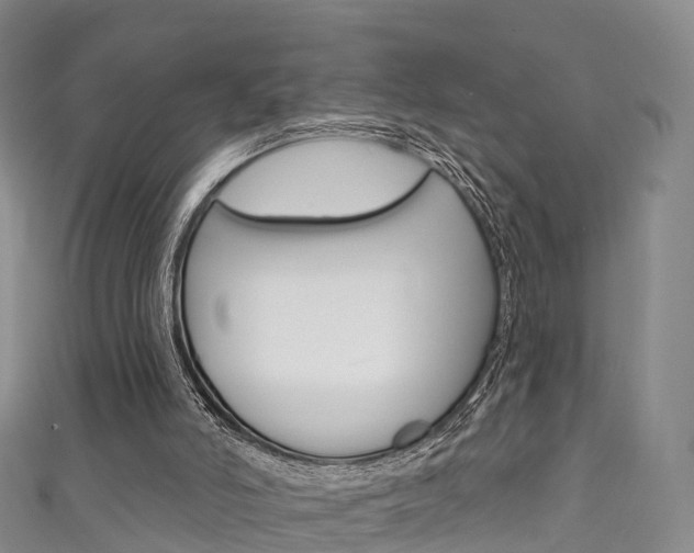X0000111930006200907271040