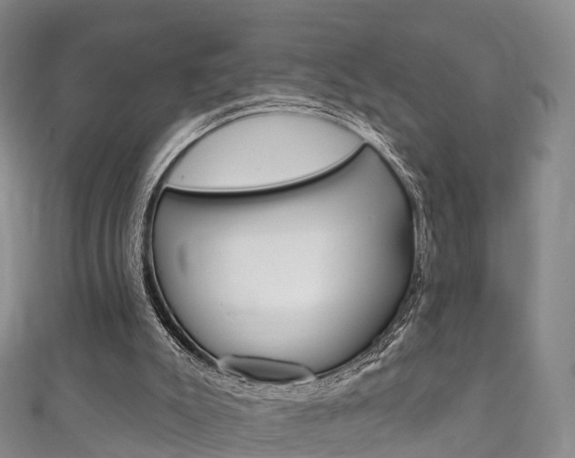 X0000111930007200907271040