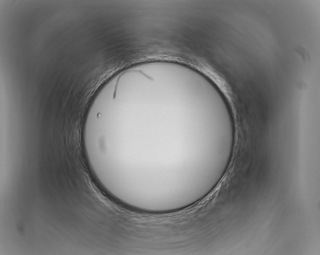 X0000111930009200907271040