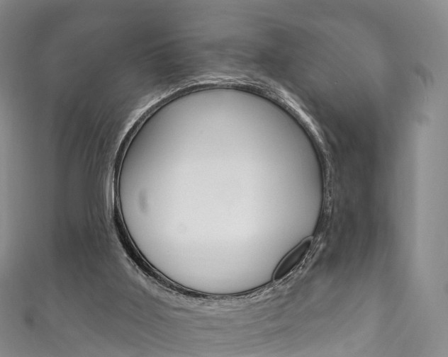X0000111930011200907271040