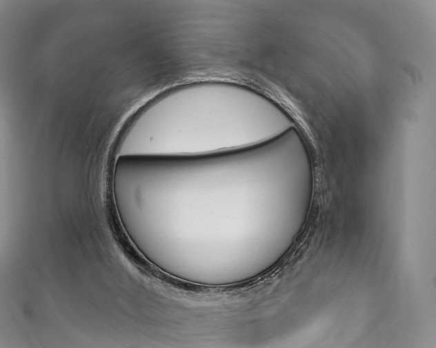 X0000111930012200907271040