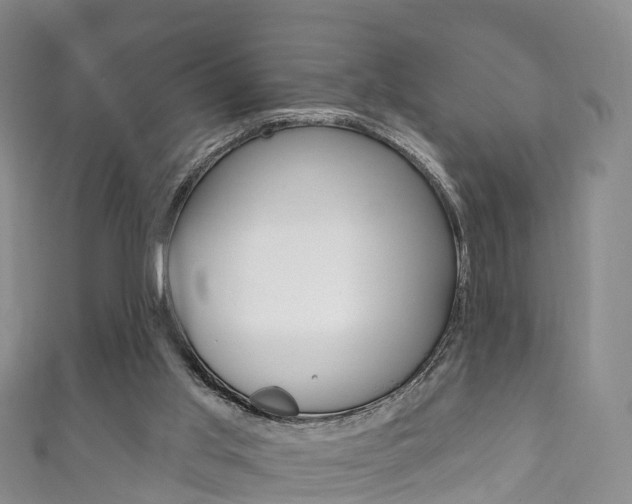 X0000111930013200907271040