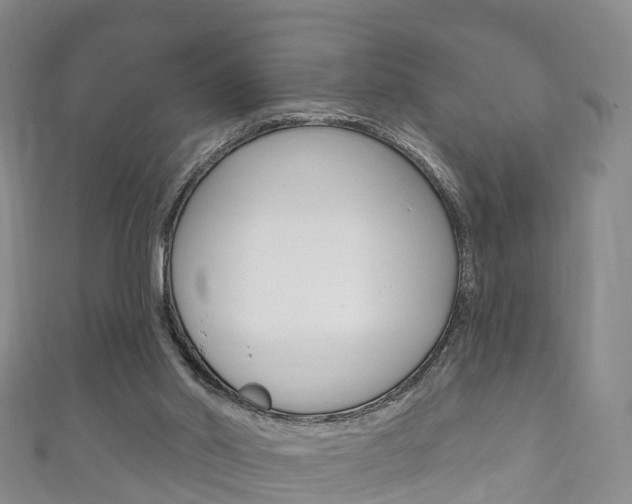 X0000111930014200907271040
