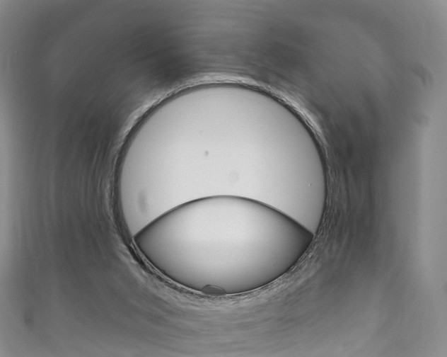 X0000111930015200907271040