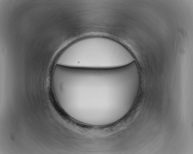 X0000111930016200907271040