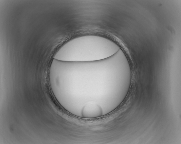 X0000111930018200907271040