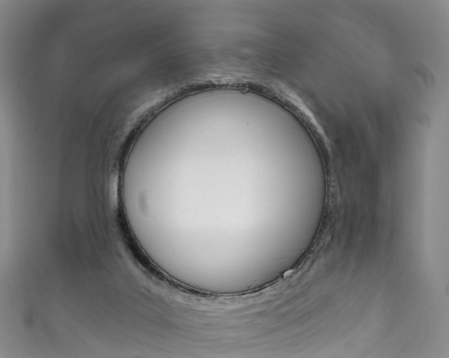 X0000111930019200907271040