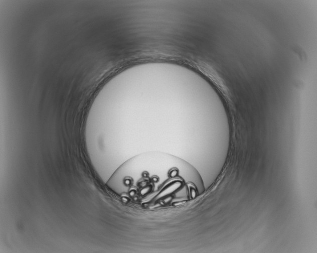 X0000111930021200907271040