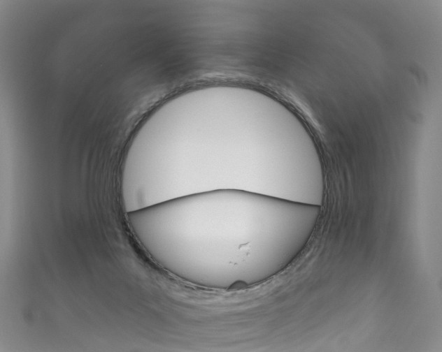 X0000111930023200907271040