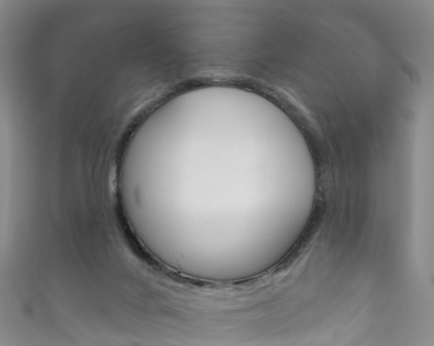 X0000111930024200907271040