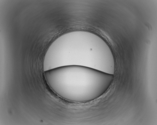 X0000111930025200907271040
