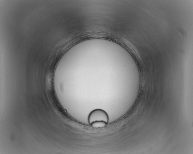 X0000111930026200907271040
