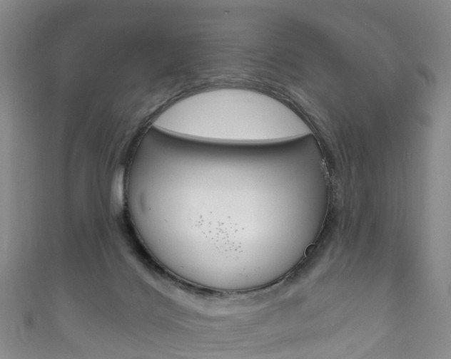 X0000111930028200907271040