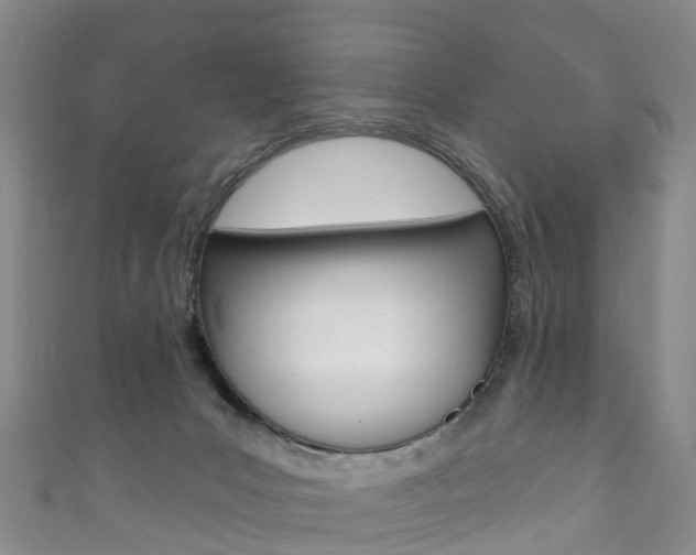 X0000111930031200907271040