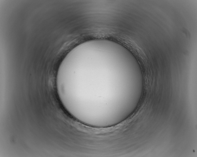 X0000111930035200907271040