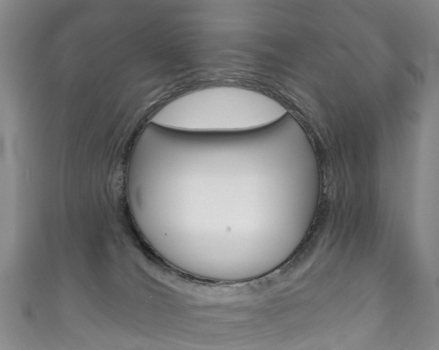 X0000111930036200907271040