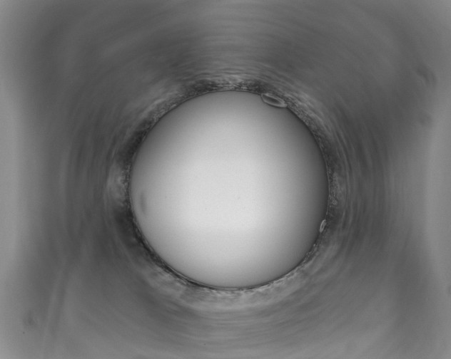 X0000111930037200907271040