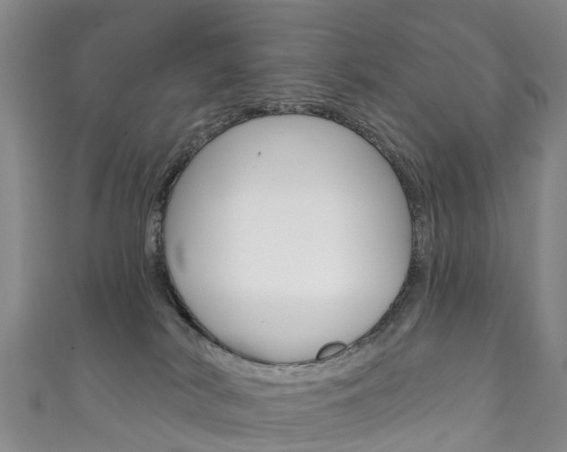 X0000111930038200907271040