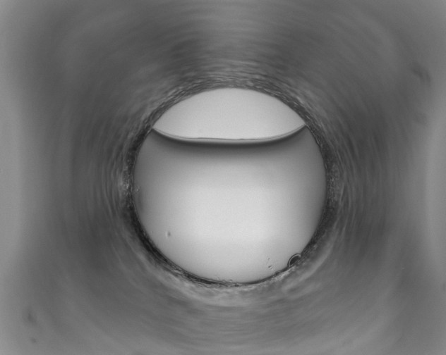 X0000111930040200907271040