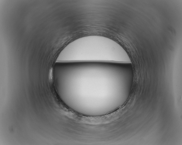 X0000111930041200907271040