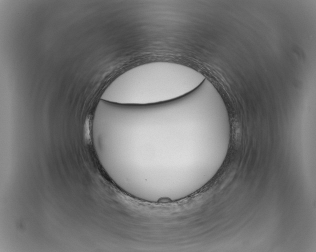X0000111930042200907271040