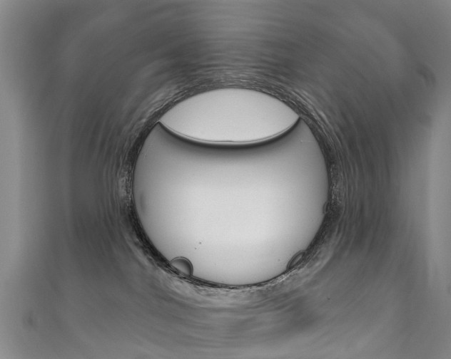 X0000111930044200907271039